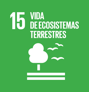 Vida de ecosistemas terrestres